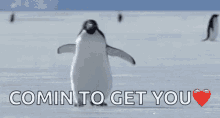 Coming To Get You Penguin GIF - Coming To Get You Penguin Cute GIFs