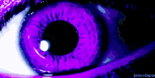 Purple Eye GIF - Purple Eye Eyelid GIFs