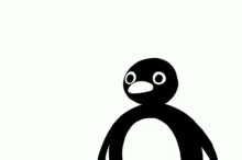 nok nok penguin nook nook nok pingu pingu noknok nok nok penguin nook nook nok pingu pingu noknok