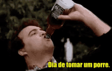 Tomar Um Porre / Beber Até Cair / Bebum / Bêbado / Bebedeira GIF - Drunk Drinking Partying GIFs