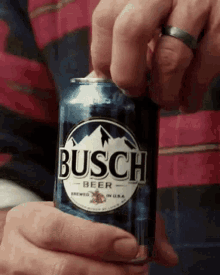 Beer Busch GIF - Beer Busch Lets Drink GIFs