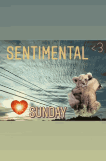Connected The Site GIF - Connected The Site Sentimental Sunday GIFs