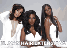 Human Hair Extensions Human Hair Loc Extensions GIF - Human Hair Extensions Human Hair Loc Extensions Human Hair Ponytail Extension GIFs