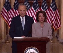 Chuck And Nancy Pelosi GIF - Chuck And Nancy Pelosi Schumer GIFs
