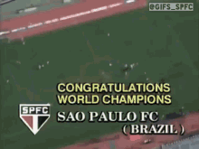 Spfc São Paulo GIF - Spfc São Paulo São Paulo Fc GIFs