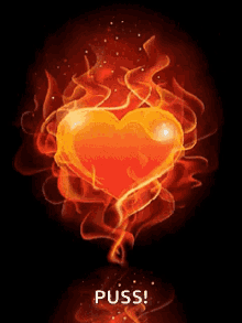 Heart On GIF - Heart On Fire GIFs