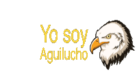 Aguilas Cibeaeñas Yo Soy Aguilucho Sticker - Aguilas Cibeaeñas Yo Soy Aguilucho Bird Stickers