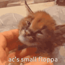 Acmeme Smallfloppa GIF - Acmeme Smallfloppa GIFs