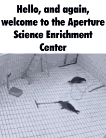 Aperture Science Aperture Science Enrichment Center GIF - Aperture Science Aperture Science Enrichment Center Seals GIFs