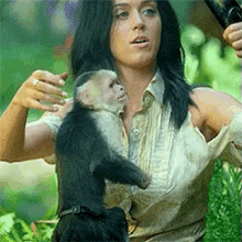 Can We Talk About How The Monkey Didn’t Like His Selfie GIF - Katy Perry Monkey Selfie GIFs