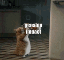 Genshin Impact GIF - Genshin Impact Bad GIFs