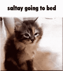 Saltay Saltay Going To Bed GIF - Saltay Saltay Going To Bed Goodnight GIFs