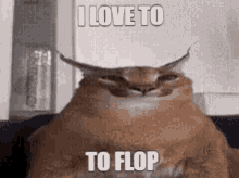Floppa Flopping GIF - Floppa Flop Flopping GIFs