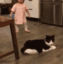 Cat Kid GIF - Cat Kid Trip GIFs