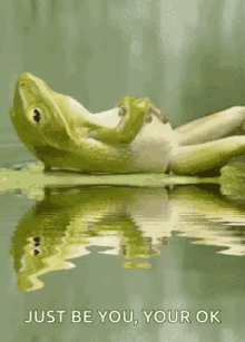 Frog Chill GIF - Frog Chill Just Be You GIFs