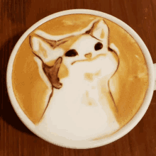 pop cat coffee