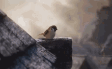 Fable Story GIF - Fable Story Begins GIFs