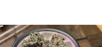 Weed Stoner Sticker - Weed Stoner Stoned Stickers