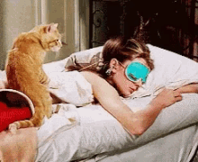 Cat Tabby GIF - Cat Tabby Audrey Hepburn GIFs