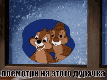 chip and dale chip dale chipmunk look