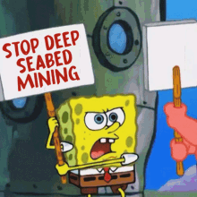 Defend The Deep Stop Deep Seabed Mining GIF - Defend The Deep Stop Deep Seabed Mining Seabed Mining GIFs