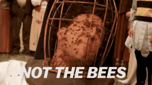 monday bees niccage monday bees niccage