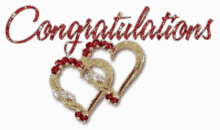 Congratulations Wedding GIF - Congratulations Wedding GIFs