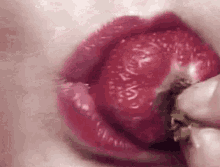 Sexy Lips Erotic GIF - Sexy Lips Erotic Strawberry GIFs