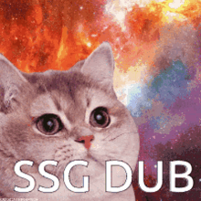 ssg dub spacestation