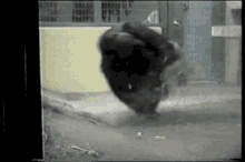 Gorilla Spin GIF - Gorilla Spin Dance GIFs