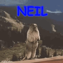 Neil Beaver Screaming Name GIF - Neil Beaver Screaming Name Neil Beaver GIFs