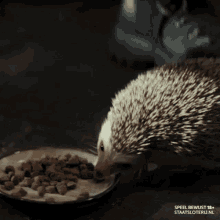 staatsloterij freddie hedgehog egel eating
