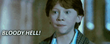Ron Bloodyhell GIF - Ron Bloodyhell Harrypotter GIFs