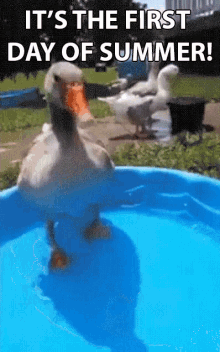 First Day Of Summer GIF - Summer Solstice Happy Summer First Day Of Summer GIFs