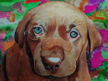 Dog Perro GIF - Dog Perro Color GIFs