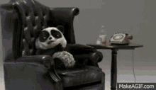 Vinnie Panda GIF - Vinnie Panda Foxs Biscuits GIFs