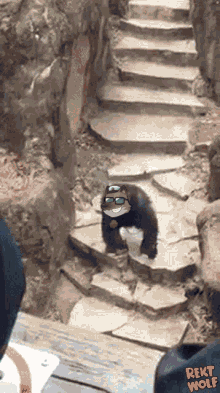 Monkey Throwing Poop Rekt Wolf GIF - Monkey Throwing Poop Rekt Wolf Crypto Nft GIFs