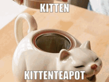 Kittenprns Teapot GIF - Kittenprns Kitten Teapot GIFs