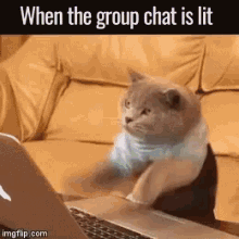 Group Chat Lit GIF - Group Chat Lit GIFs