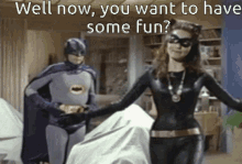 Batman Catwoman GIF - Batman Catwoman Well GIFs