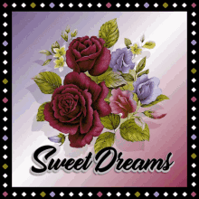 dreams vegas