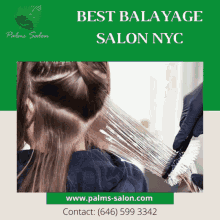 Best Balayage Salon Nyc Hair Salon GIF - Best Balayage Salon Nyc Balayage Salon Nyc Hair Salon GIFs