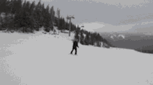 Sled Dogs Ski GIF - Sled Dogs Ski Downhill GIFs