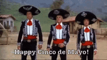 Cinco De Mayo Funny GIF - Cinco De Mayo Funny Fun GIFs