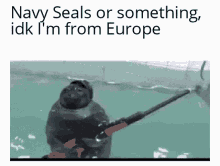 Navy Seals Europe GIF - Navy Seals Europe Meme GIFs