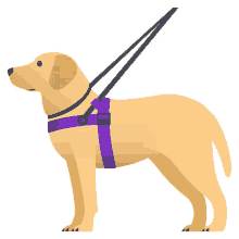guide dog nature joypixels dog doggo guide dog nature joypixels dog doggo