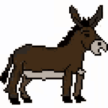 donkey pixel