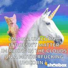 Im A Unicorn It Doesnt Matter GIF - Im A Unicorn It Doesnt Matter Im Riding In The Cloud GIFs