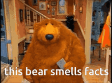This Bear Smells Facts Meme GIF - This Bear Smells Facts Bear Smell GIFs
