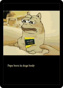 frog reading such feels pepe born in doge body